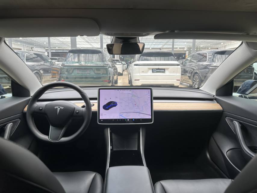 Tesla Model 3 2020 immagine di auto #5