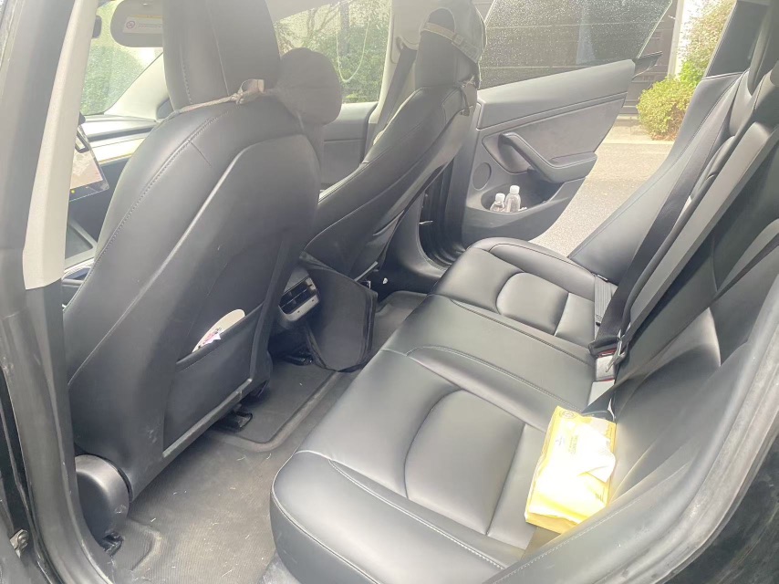 Tesla Model 3 2021 car image #6