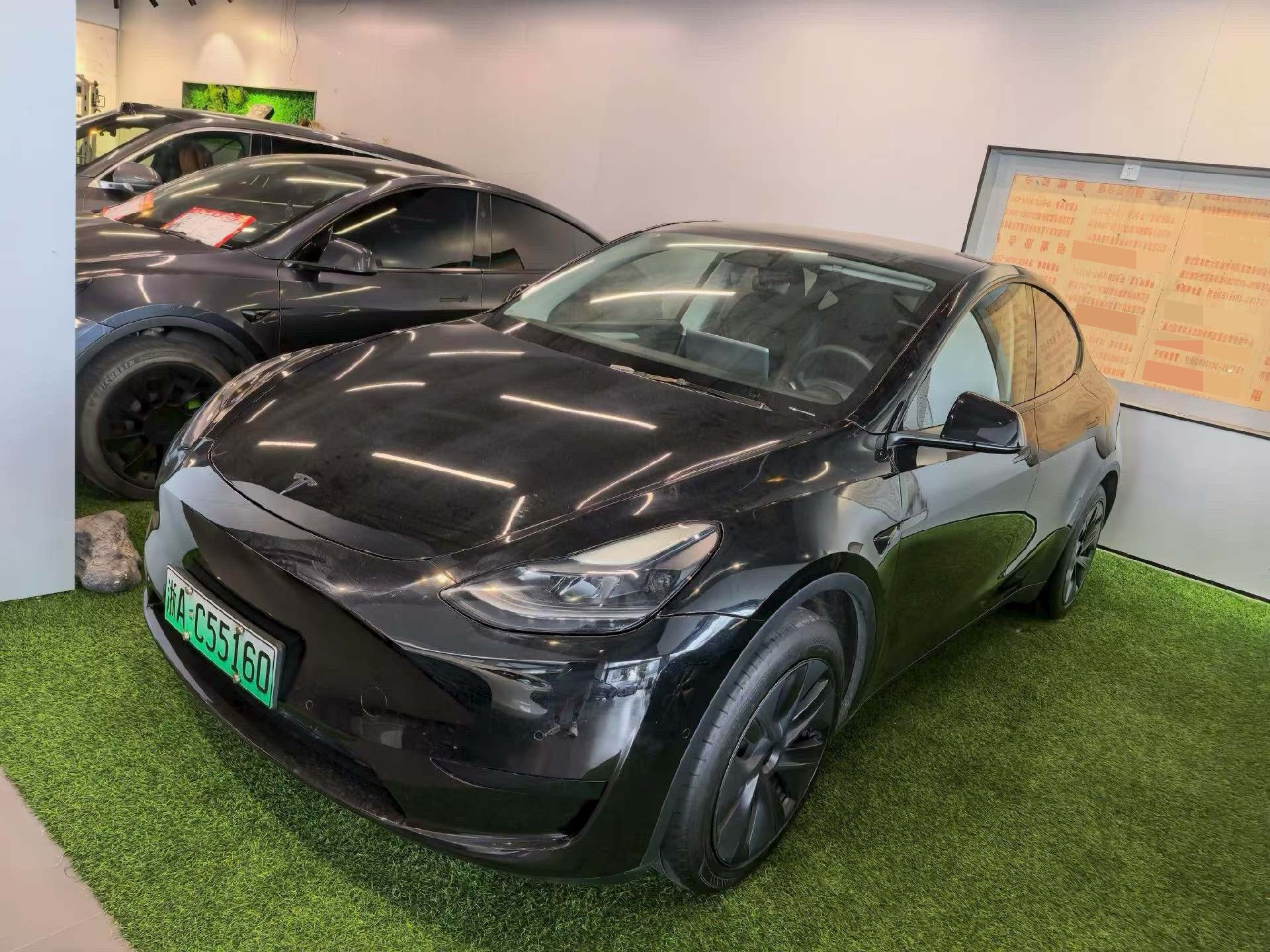 Tesla Model Y 2024 car image 