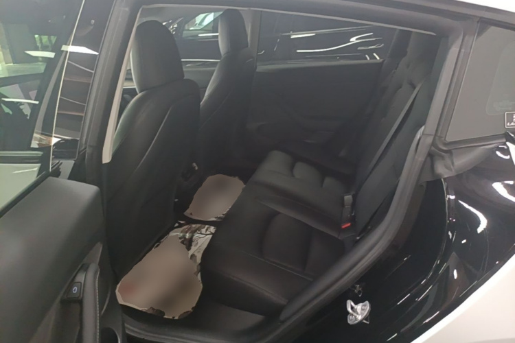 Tesla Model 3 2021 car image #17