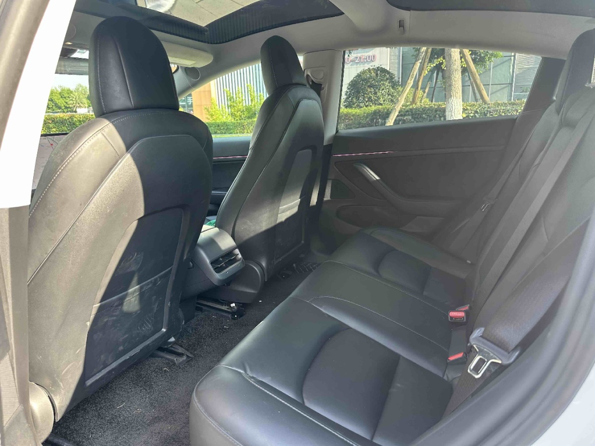 Tesla Model 3 2020 car image #7