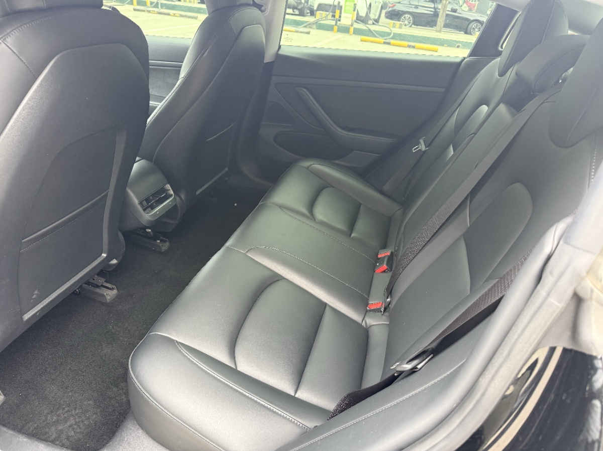 Tesla Model 3 2020 #8 Tesla Model 3 2020 car image #8