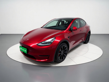 Tesla Model Y 2022 Tesla Model Y 2022 car image