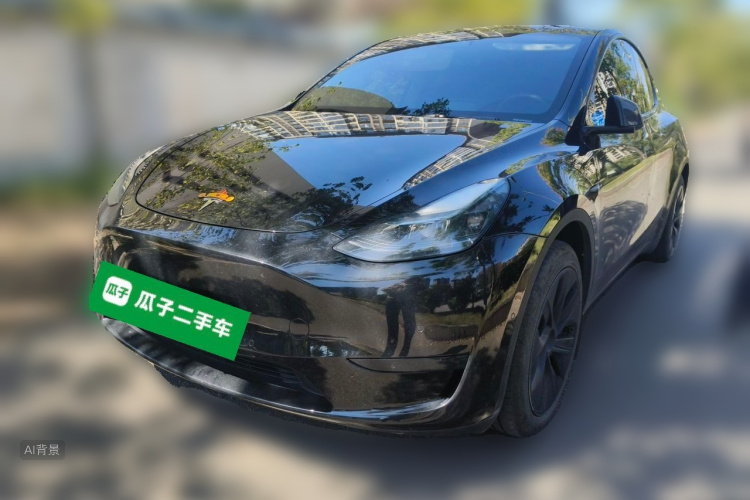 Tesla Model Y 2024 car image #2