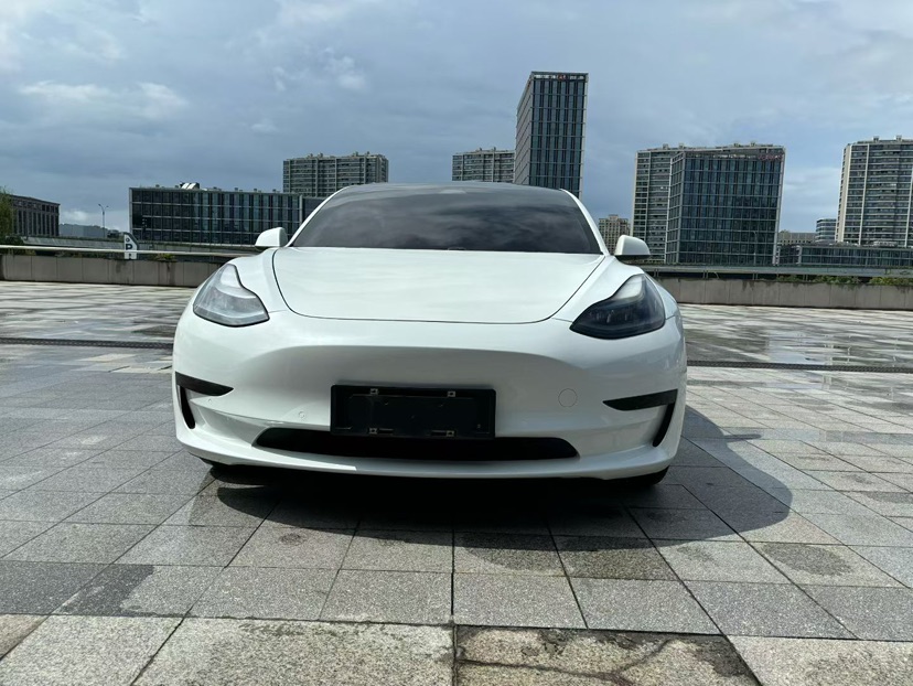 Tesla Model 3 2021 #2 Tesla Model 3 2021 car image #2