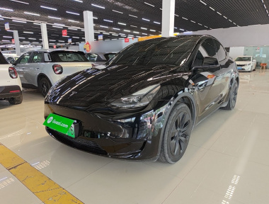 Tesla Model Y 2024 car image 