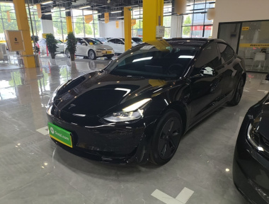 Tesla Model 3 2023 Tesla Model 3 2023 car image