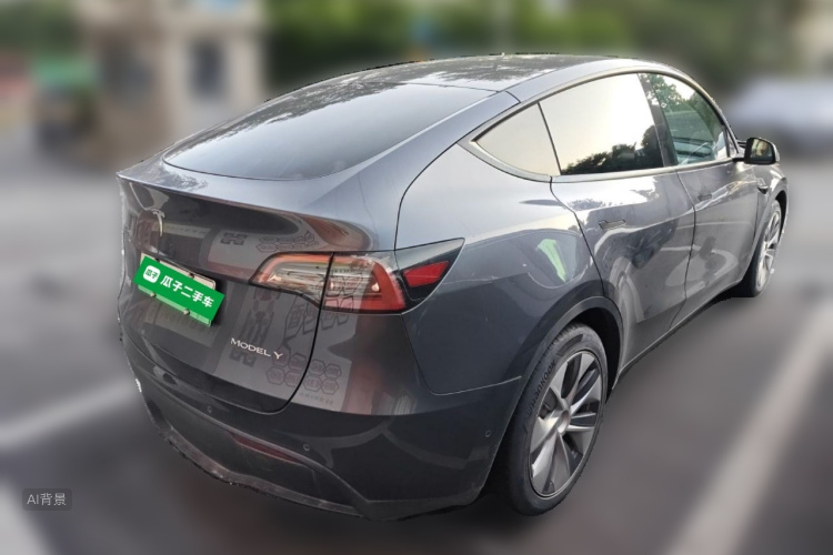 Tesla Model Y 2021 car image #7