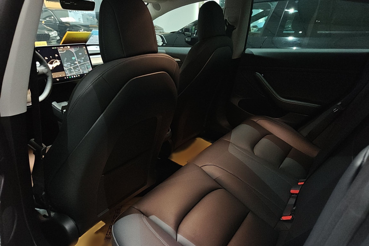 Tesla Model 3 2021 immagine di auto #9