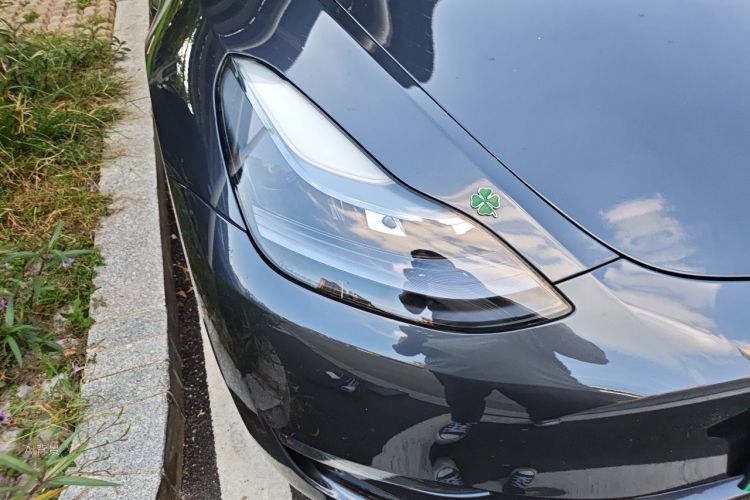 Tesla Model Y 2024 #8 Tesla Model Y 2024 car image #8
