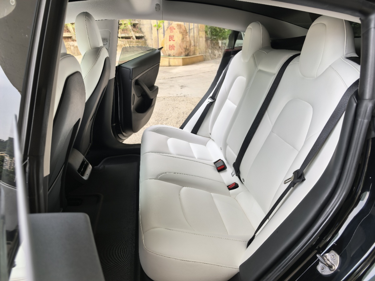 Tesla Model 3 2021 #8 Tesla Model 3 2021 car image #8