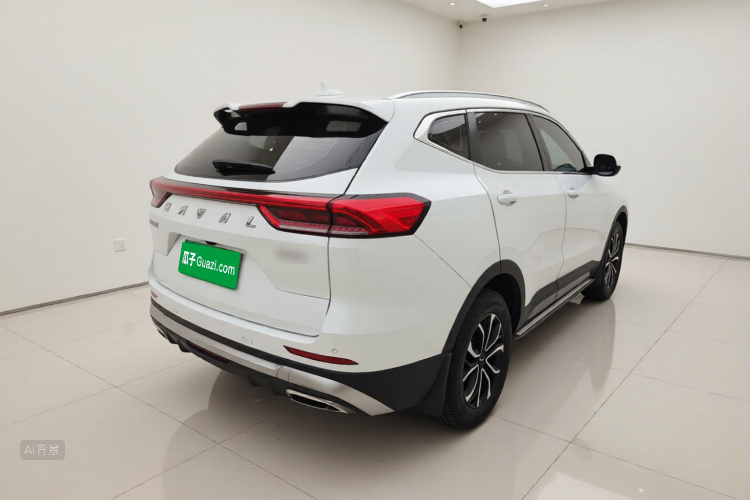 Haval H6 2024 car image #6