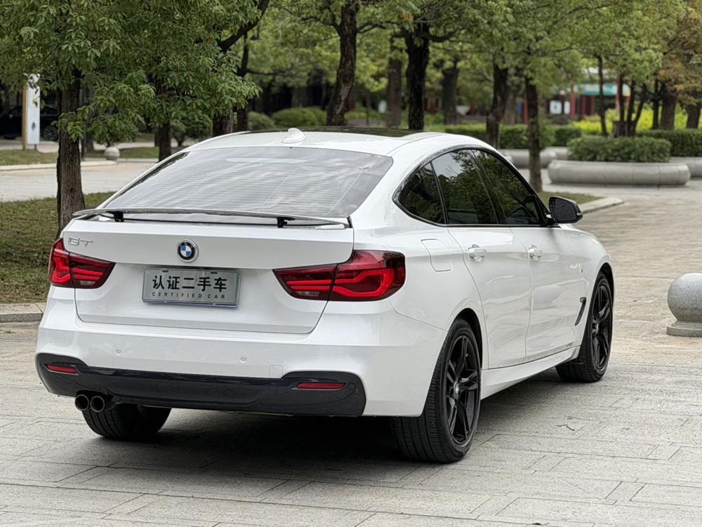 BMW 3 Series GT 2019 car image #9