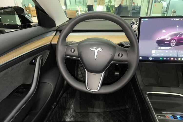 Tesla Model 3 2023 car image #11