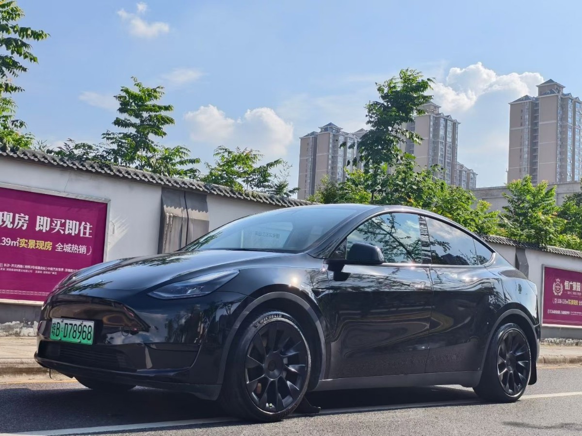 Tesla Model Y 2022 car image 