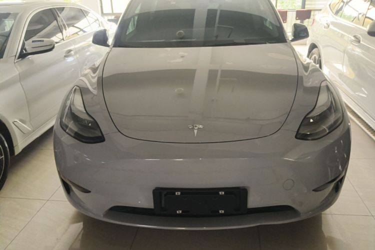 Tesla Model Y 2021 car image #3
