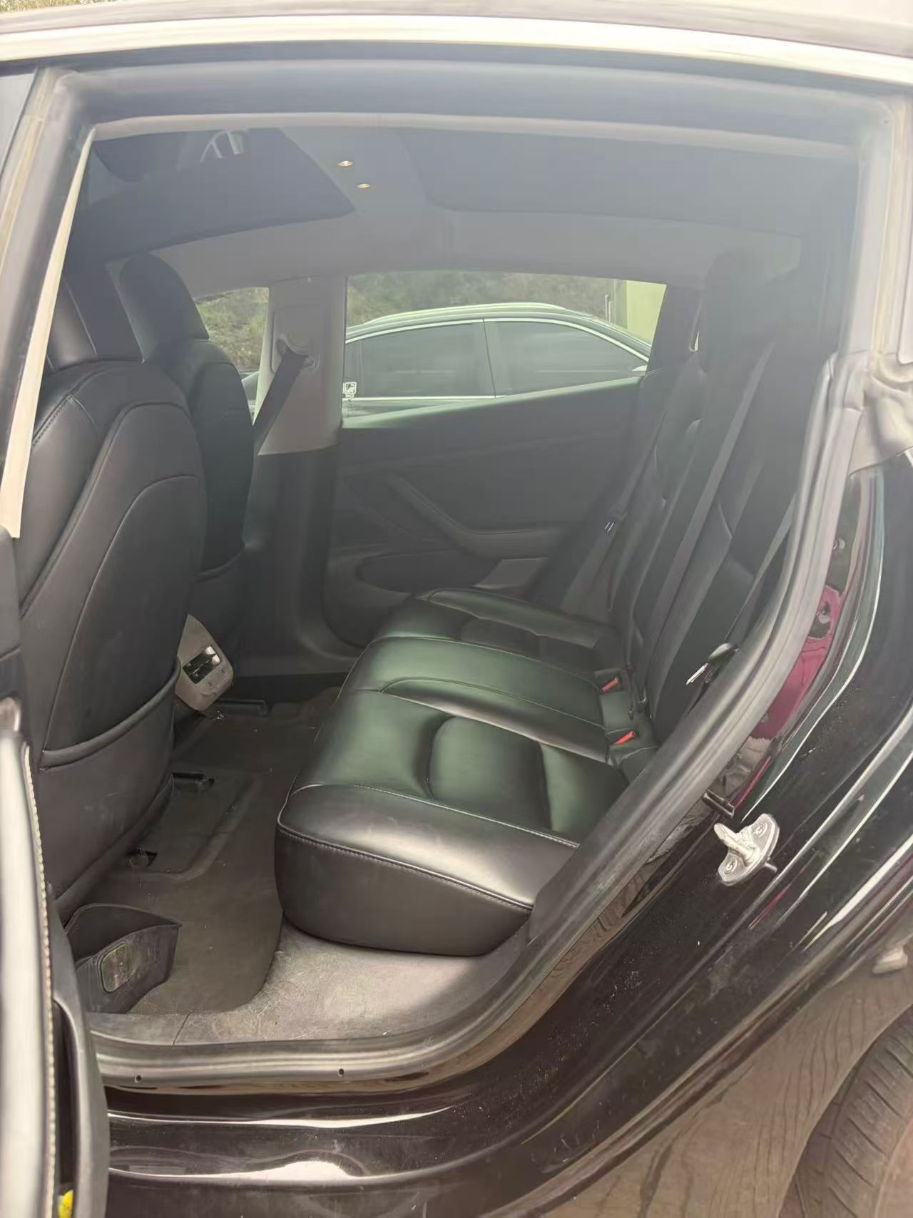 Tesla Model 3 2020 #2 Tesla Model 3 2020 car image #2