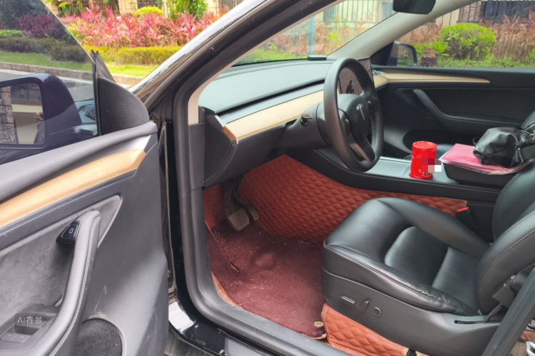 Tesla Model Y 2021 car image #18