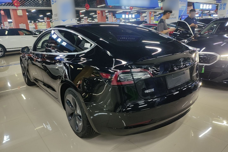 Tesla Model 3 2020 car image #5