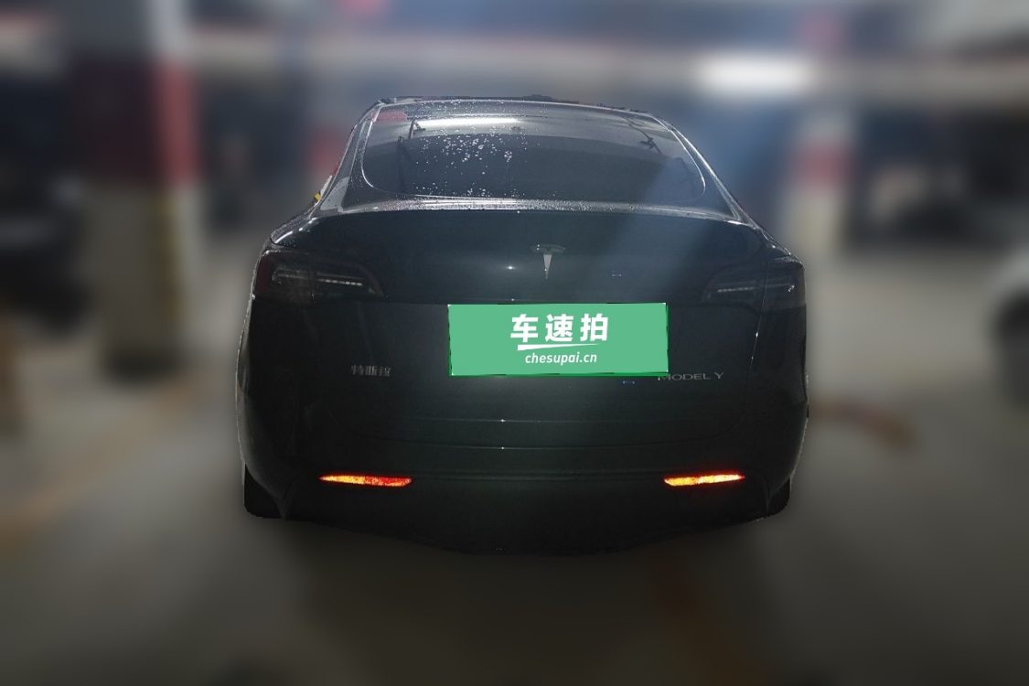 Tesla Model Y 2024 #6 Tesla Model Y 2024 car image #6