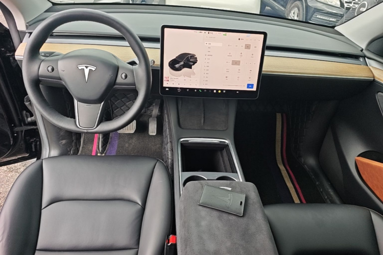 Tesla Model Y 2022 car image #10