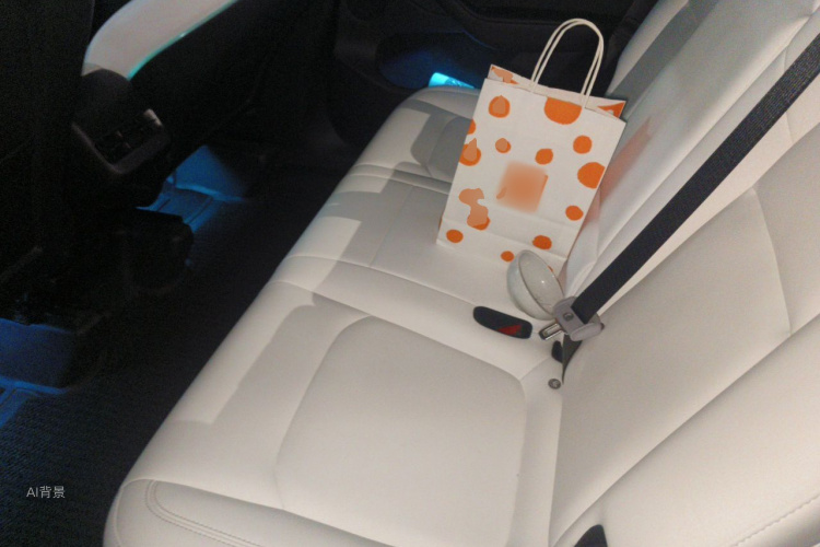 Tesla Model Y 2022 imagem de carro #19