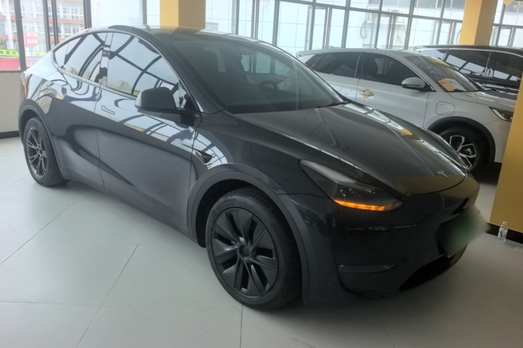 Tesla Model Y 2024 car image #6