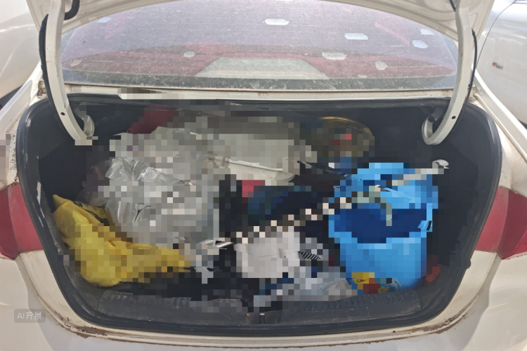 Volkswagen Santana 2017 car image #21