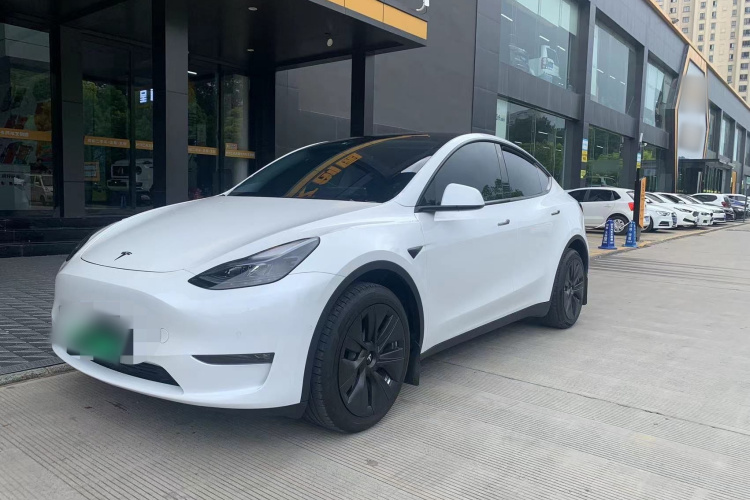 Tesla Model Y 2023 #2 Tesla Model Y 2023 صورة سيارة #2