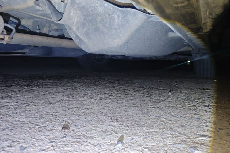 Honda CR-V 2021 #24 Honda CR-V 2021 car image #24