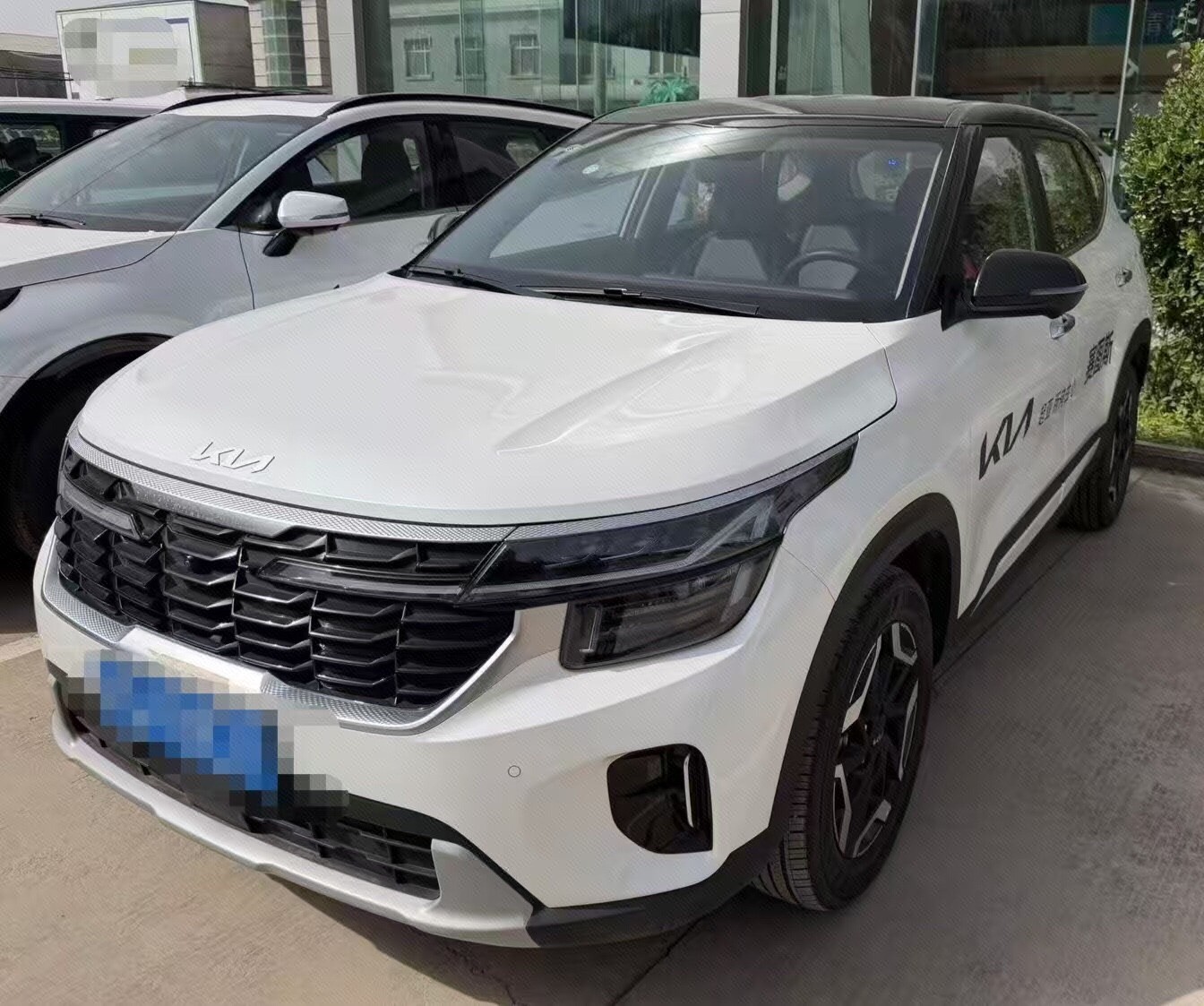 Kia Seltos 2025 immagine di auto 