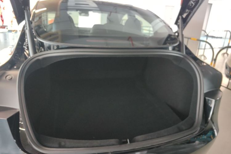 Tesla Model 3 2023 car image #19