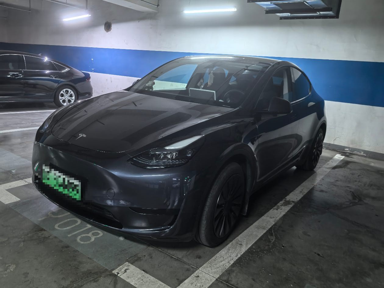 Tesla Model Y 2024 car image 