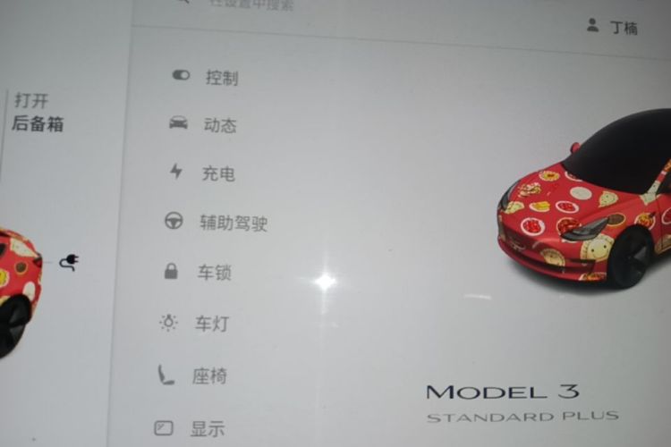 Tesla Model 3 2021 #12 Tesla Model 3 2021 imagen de coche #12
