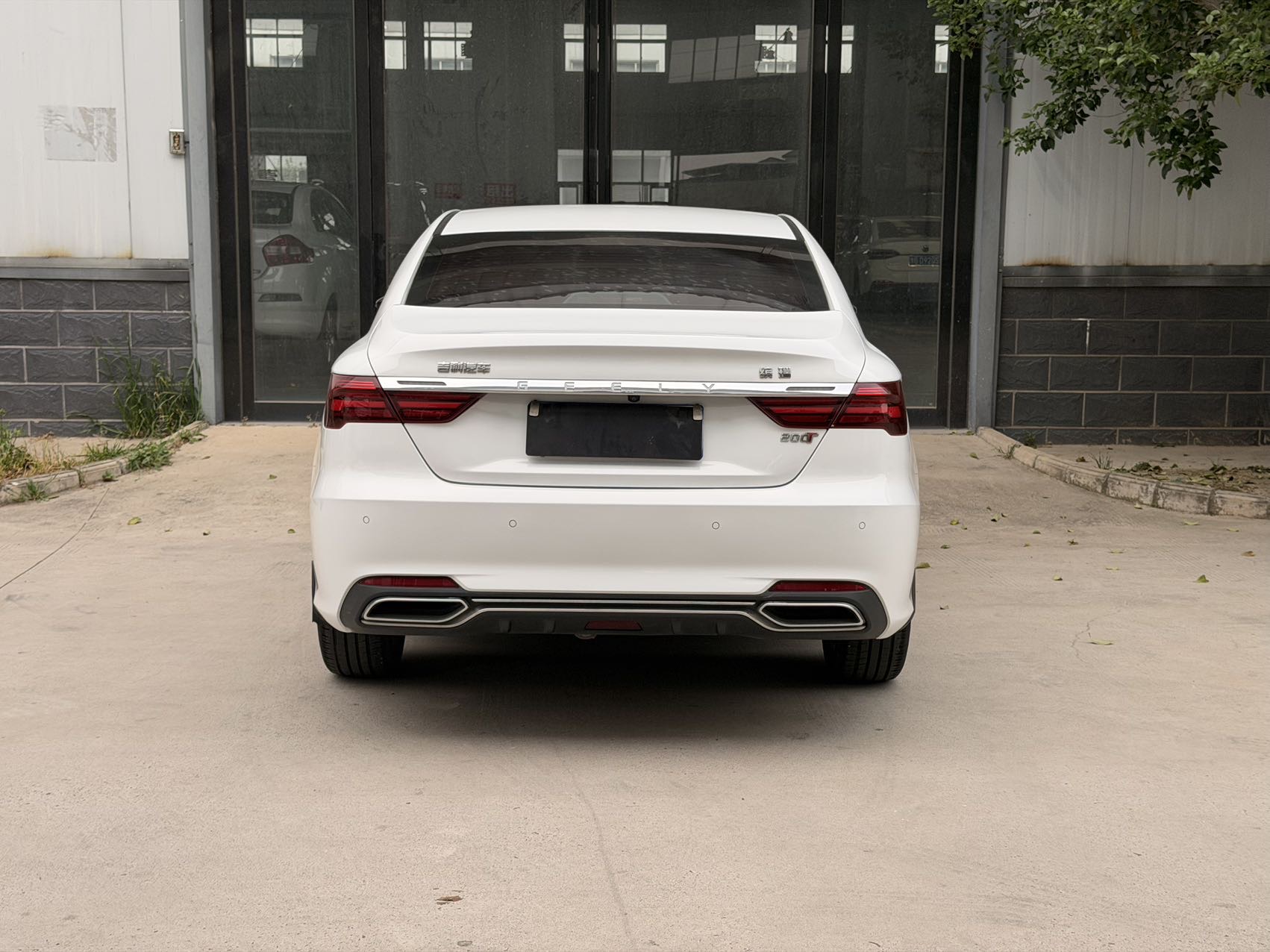 GEELY Binray 2020 image de voiture #8