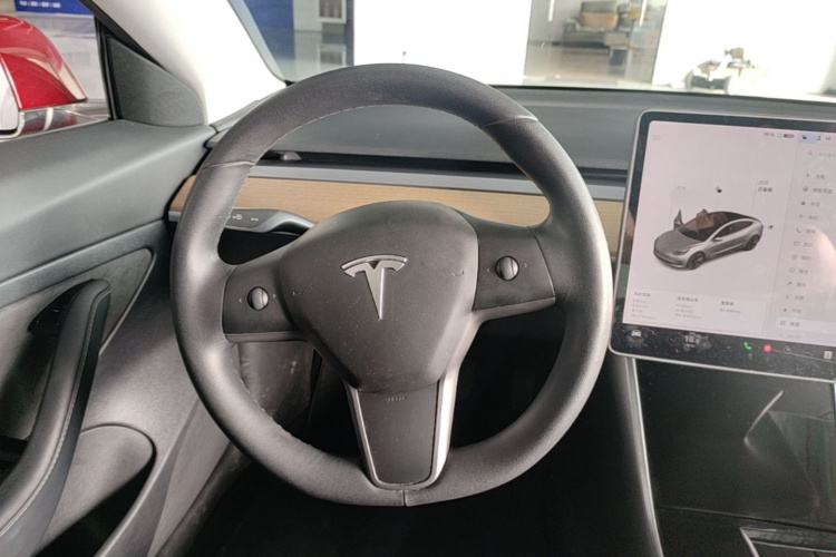 Tesla Model 3 2020 car image #11