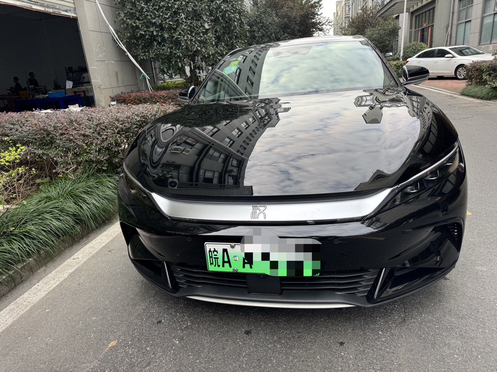 BYD Han 2024 imagen de coche #2