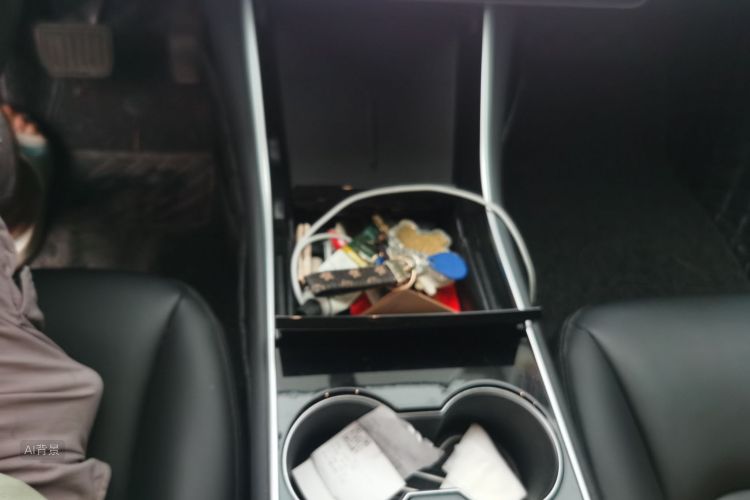 Tesla Model 3 2020 car image #16