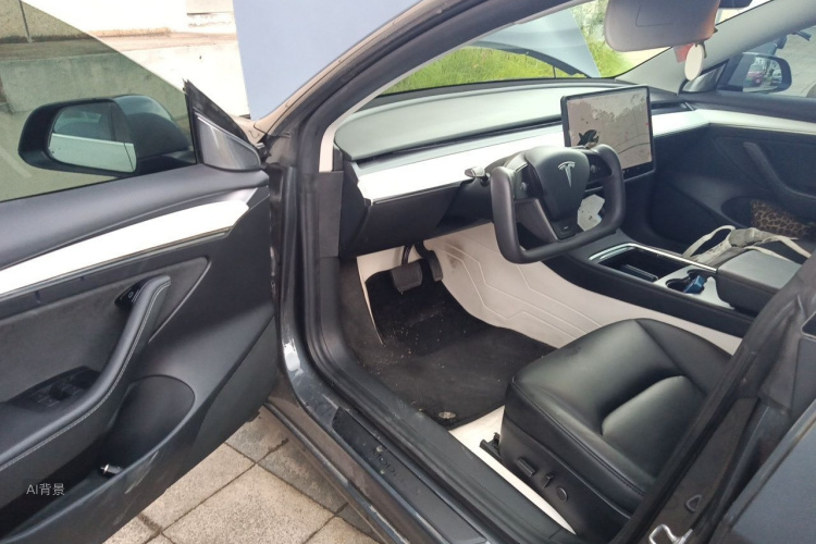 Tesla Model 3 2021 #18 Tesla Model 3 2021 car image #18