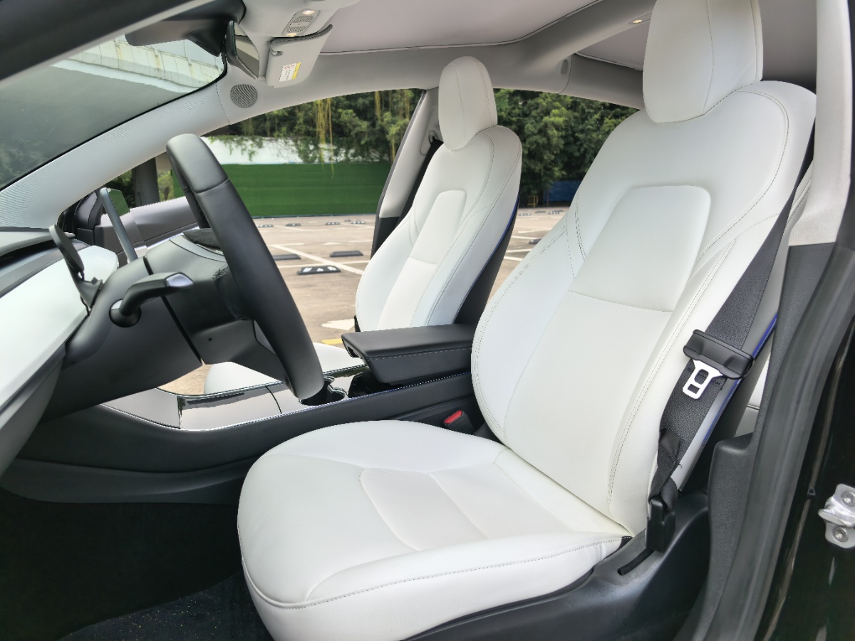 Tesla Model 3 2020 car image #5