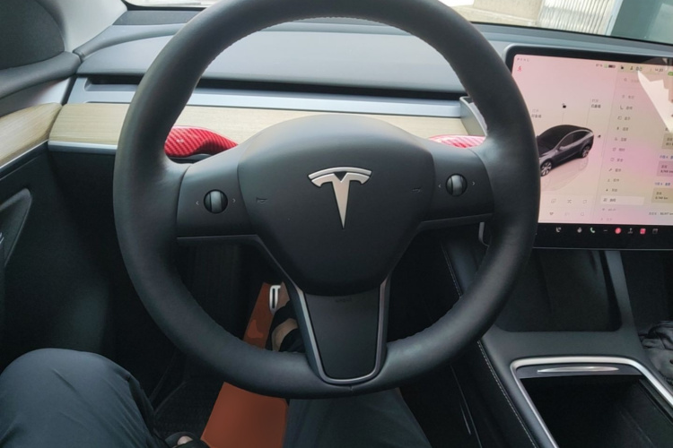 Tesla Model Y 2022 car image #11