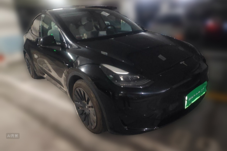 Tesla Model Y 2022 car image #4