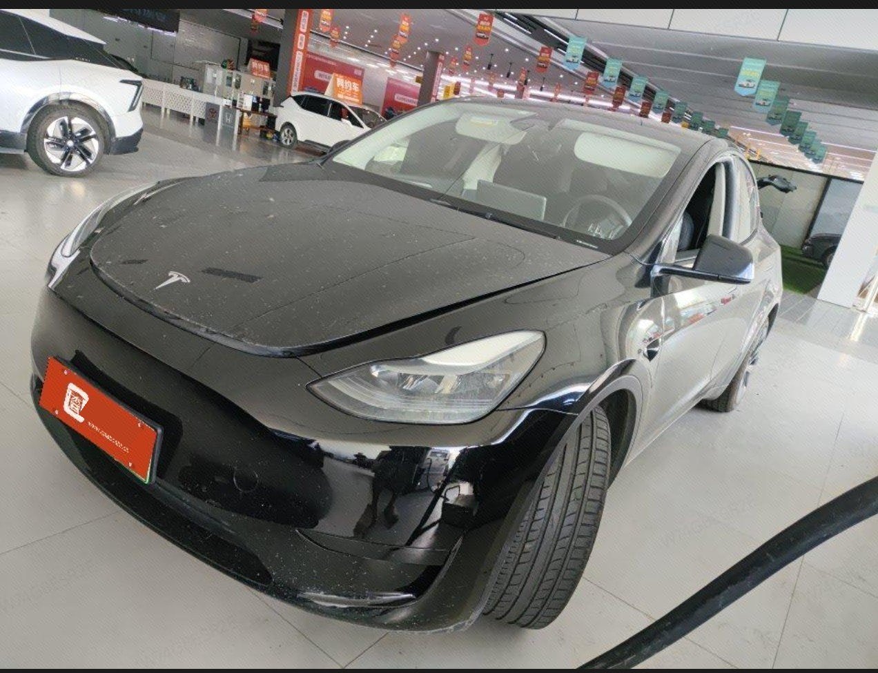 Tesla Model Y 2024 car image 
