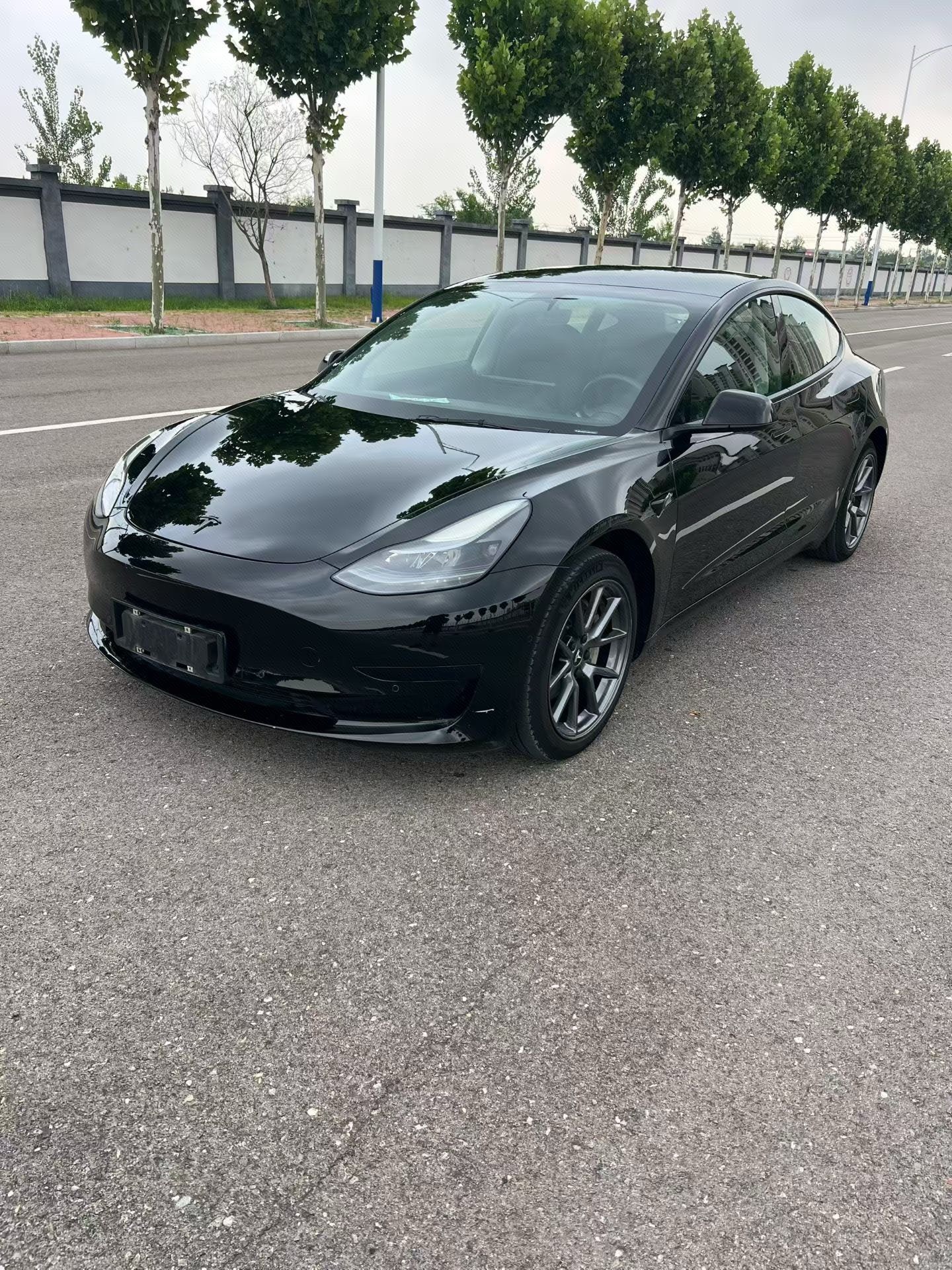 Tesla Model 3 2021 Tesla Model 3 2021 صورة سيارة