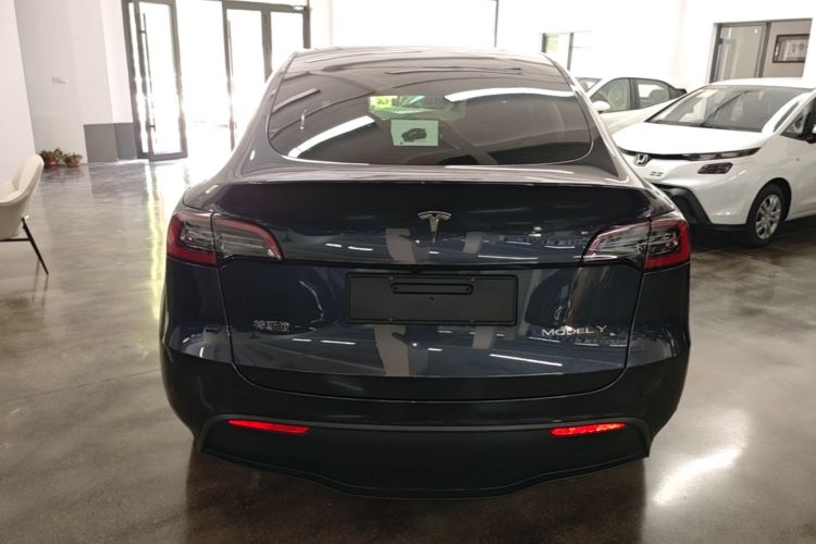 Tesla Model Y 2024 car image #6