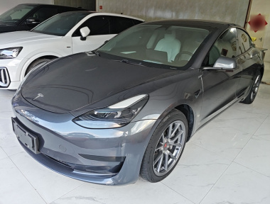 Tesla Model 3 2022 Tesla Model 3 2022 car image