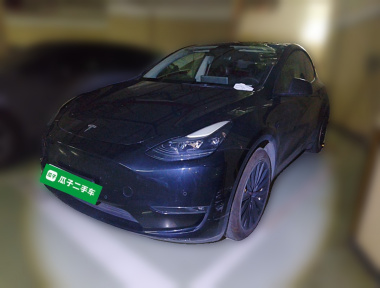 Tesla Model Y 2021 Tesla Model Y 2021 car image