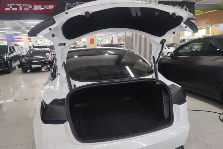 Tesla Model 3 2025 #19 Tesla Model 3 2025 car image #19