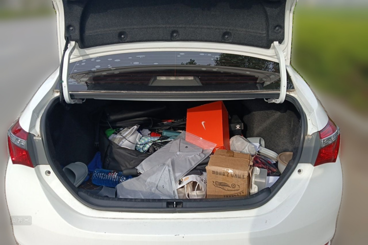 Toyota Corolla 2019 #21 Toyota Corolla 2019 car image #21