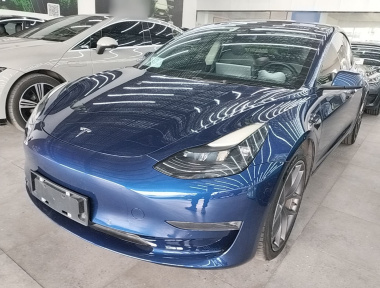 Tesla Model 3 2021 Tesla Model 3 2021 immagine di auto